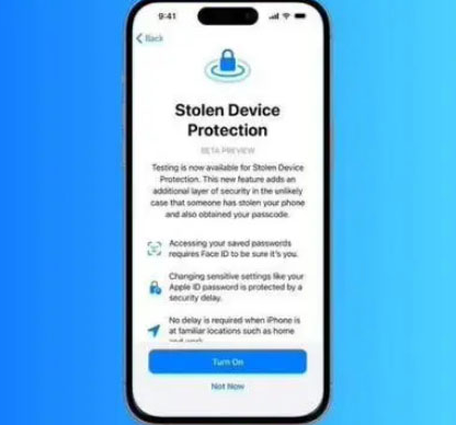 荔浦苹果授权维修店分享被盗设备保护功能开启方法 