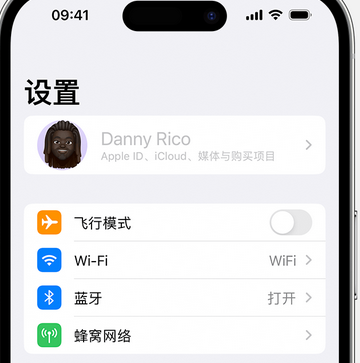 荔浦appleID维修服务iPhone设置中Apple ID显示为灰色无法使用