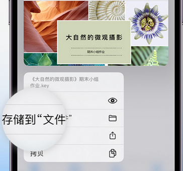 荔浦apple维修中心分享iPhone文件应用中存储和找到下载文件