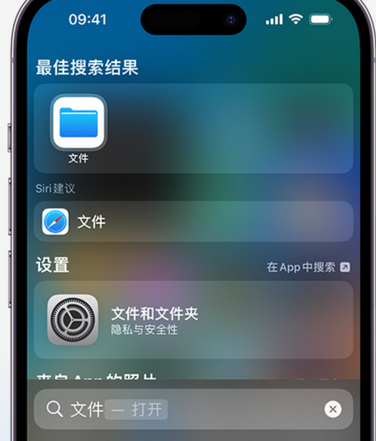 荔浦apple维修中心分享iPhone文件应用中存储和找到下载文件