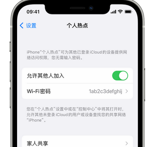 荔浦apple服务站点分享iPhone上个人热点丢失了怎么办