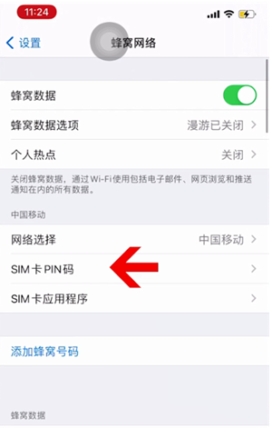 荔浦苹果14维修网分享如何给iPhone14的SIM卡设置密码 