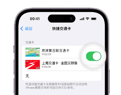 荔浦apple维修点分享iPhone上更换Apple Pay快捷交通卡手绘卡面 