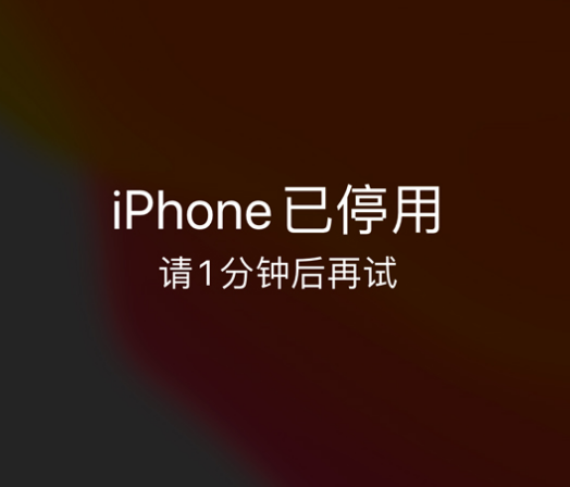 荔浦苹果手机维修分享:iPhone 显示“不可用”或“已停用”怎么办？还能保留数据吗？ 