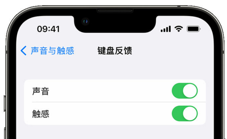荔浦苹果手机维修分享iPhone 14触感键盘使用方法 