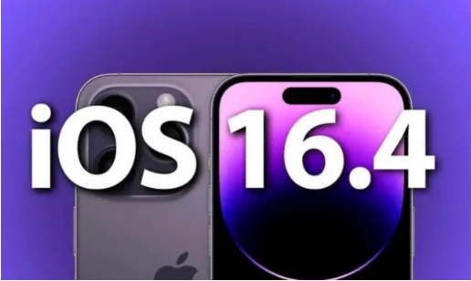 荔浦苹果14维修分享：iPhone14可以升级iOS16.4beta2吗？ 