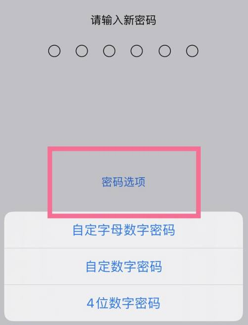 荔浦苹果14维修分享iPhone 14plus设置密码的方法 