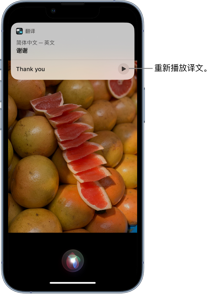 荔浦苹果14维修分享 iPhone 14 机型中使用 Siri：了解 Siri 能帮你做什么 