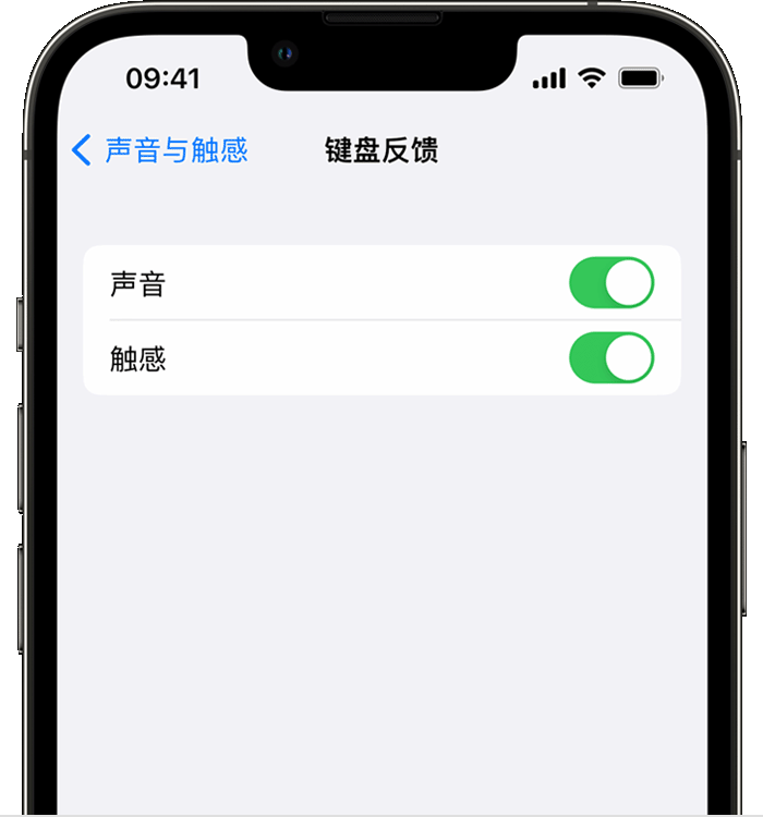 荔浦苹果14维修分享iPhone 14 系列机型如何开启键盘声音或触感反馈 