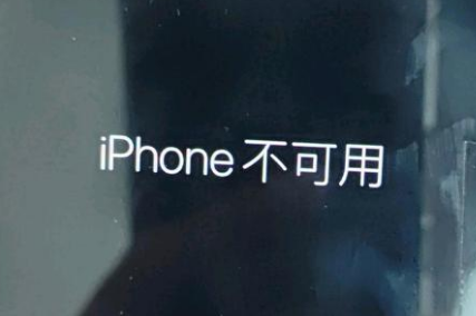 荔浦苹果服务网点分享锁屏界面显示“iPhone 不可用”如何解决 