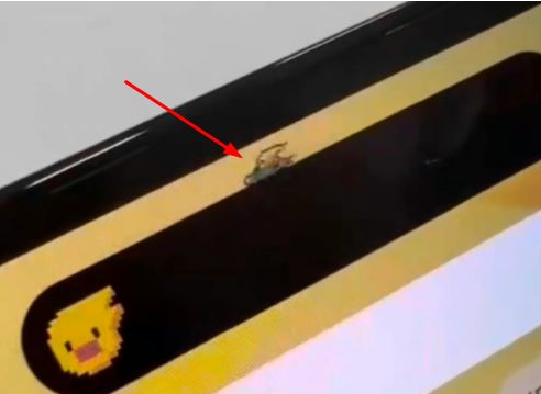 荔浦苹果14维修分享iPhone 14 Pro Max灵动岛怎么养宠物 