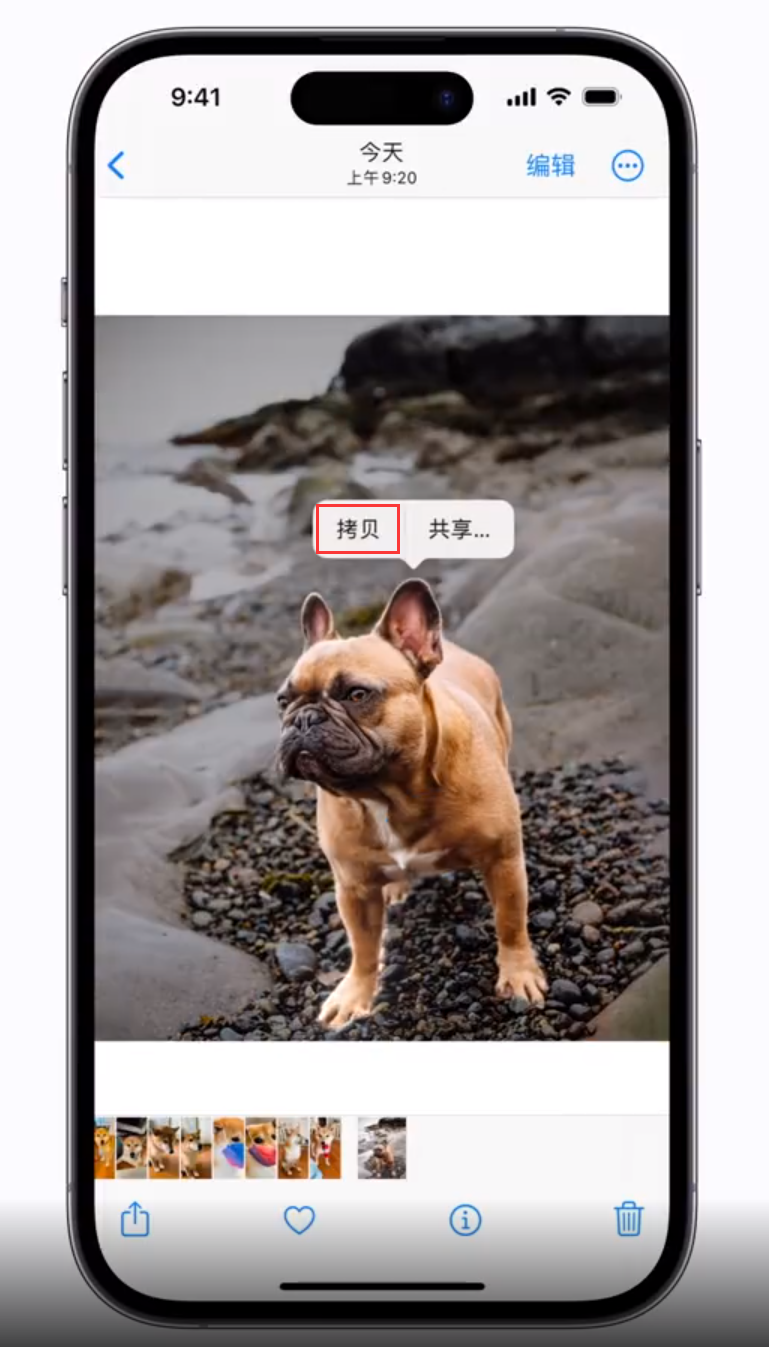 荔浦 苹果手机维修分享iOS 16 “照片”应用更新内容与改进汇总 
