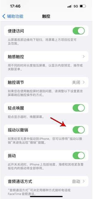 荔浦苹果手机维修分享iPhone手机如何设置摇一摇删除文字 