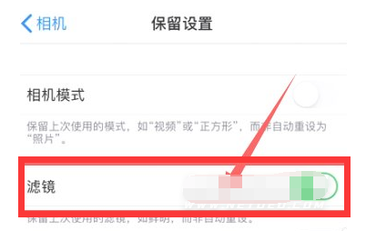 荔浦苹果13维修分享iPhone13拍照有绿点是怎么回事 