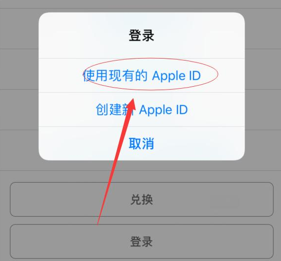 荔浦苹果手机维修分享两台iPhone设备可以同时登录一个Apple ID吗 