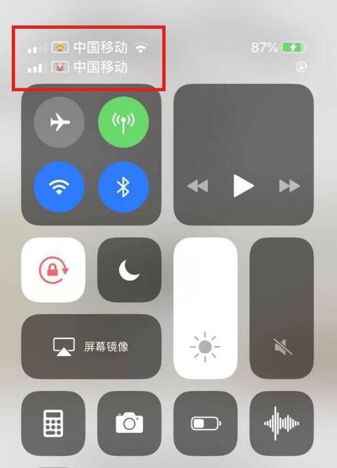 荔浦苹果手机维修分享为 iPhone 12 双卡设置标签 