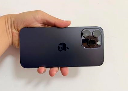 荔浦苹果维修点分享iPhone 14 Pro Max黑屏少见故障盘点 